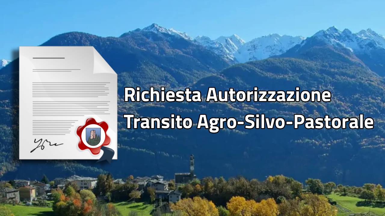 Rechiesta autorizzazione VASP