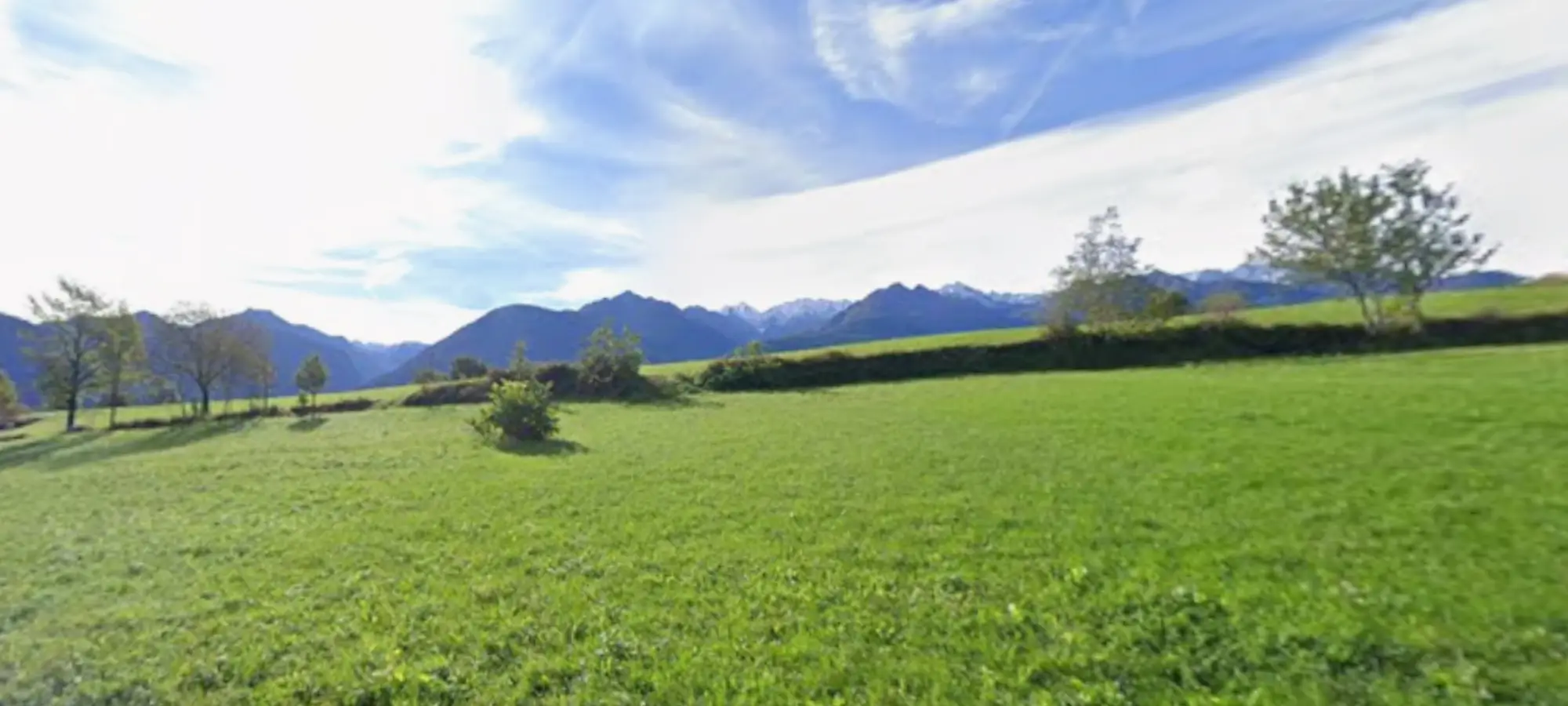 Regolamento V.A.S.P.